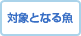 対象となる魚