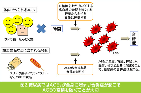 図2.糖尿病ではAEGsが全身に溜まり合併症が起こるAGEの蓄積を防ぐことが大切